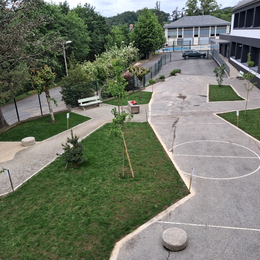 Visite-projet végétalisation des cours d'école
