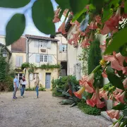 Visite secrète des remparts de Saint-Sever