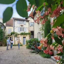 Visite secrète des remparts de Saint-Sever