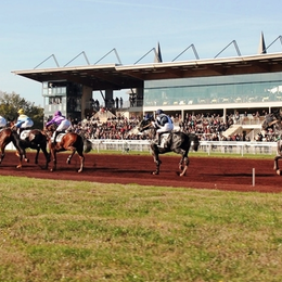 Visite secrète du Pôle du Cheval et de l'Âne et de l'hippodrome