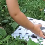 Visite sensorielle de la réserve