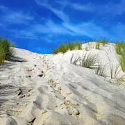 Visite sensorielle entre dunes et forêt (Sur réservation)