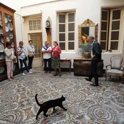 Visite Sentex et Musée