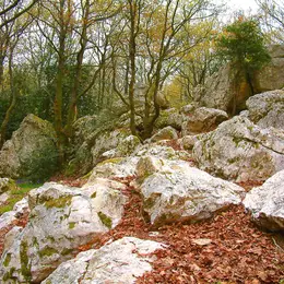 Visite - Site de Pyrome