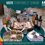 Visite Territoire & Terroir