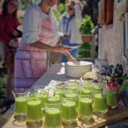 Visite thématique : Délices de la nature & cuisine sauvage