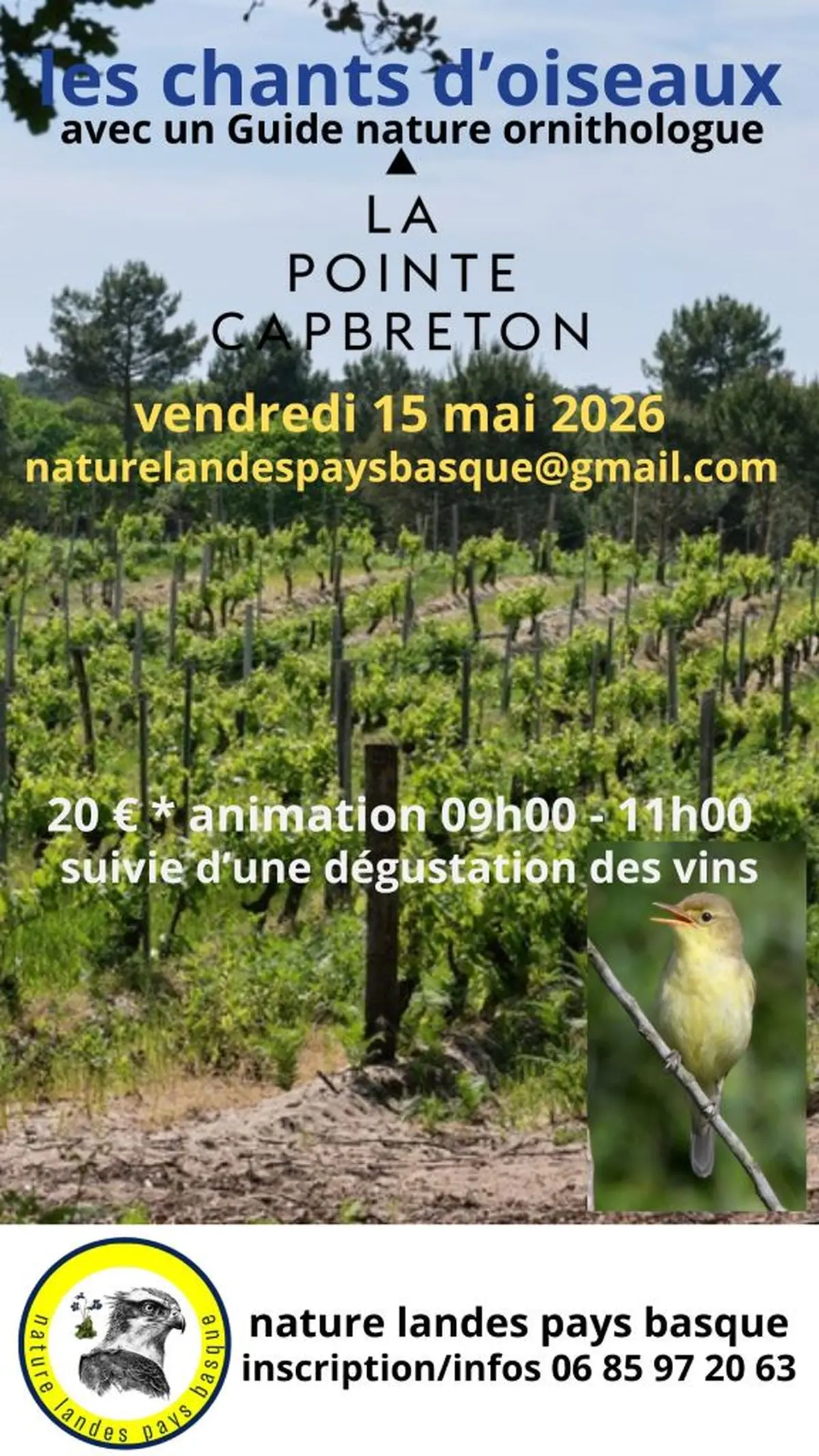 Visite thématique guidée et dégustation vins