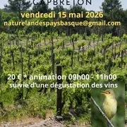 Visite thématique guidée et dégustation vins