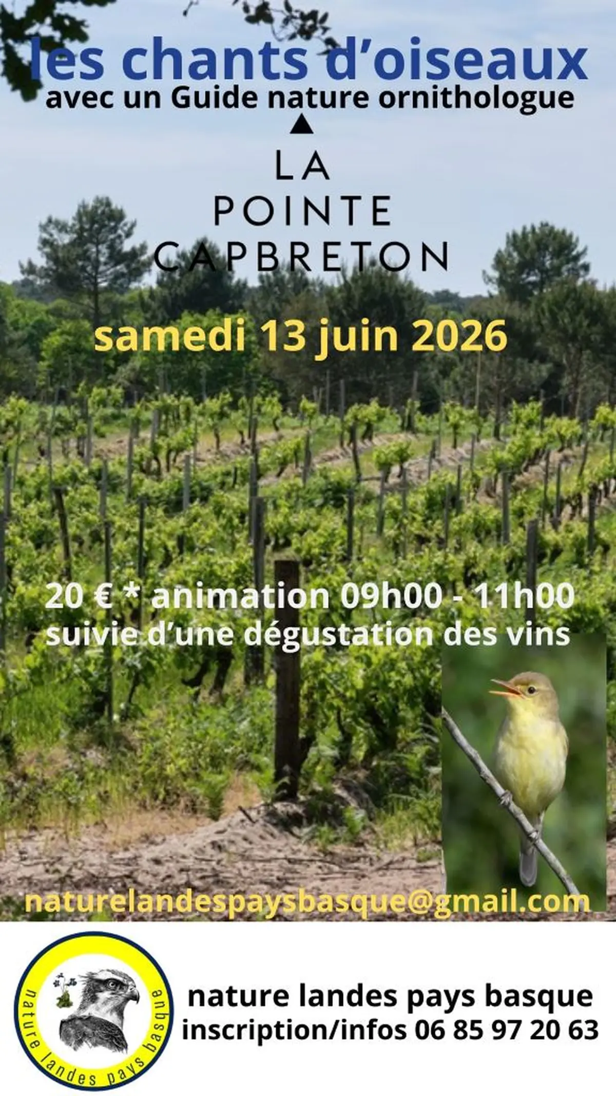 Visite thématique guidée et dégustation vins