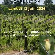 Visite thématique guidée et dégustation vins