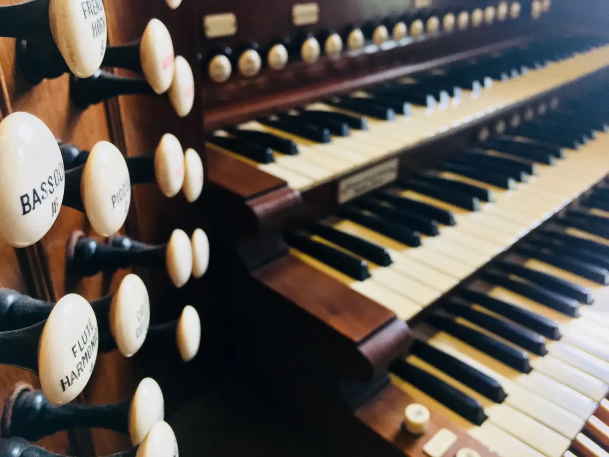 Visite thématique : L'orgue Skinner