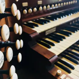Visite thématique : L'orgue Skinner