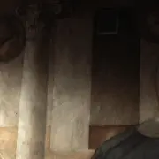 Visite thématique - Musée Réattu