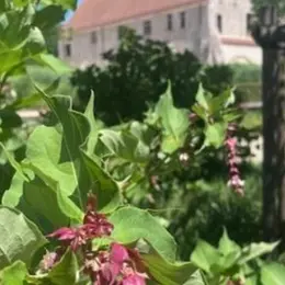 Visite Un jardin, une couleur
