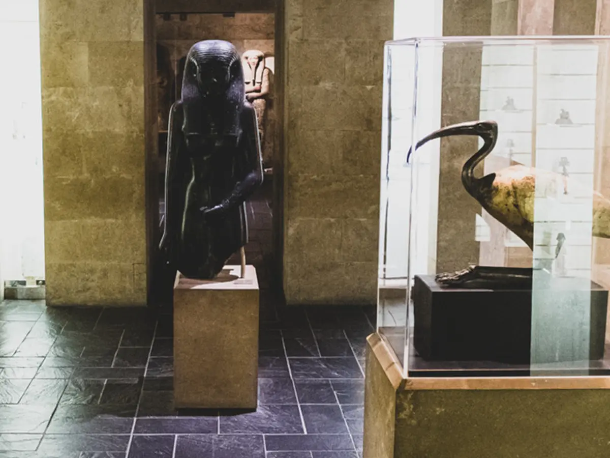 Visites commentées au Musée d'Archéologie Méditerranéenne (MAM)