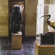 Visites commentées au Musée d'Archéologie Méditerranéenne (MAM)