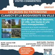Visites commentées : Clamecy et la biodiversité en ville