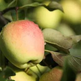 Visites de Coopératives