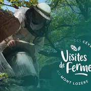 Visites De Fermes 2026 : L'Arbre Aux Abeilles