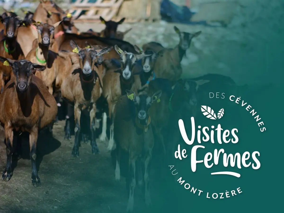 Visites De Fermes 2026 : La Ferme De Cocagne