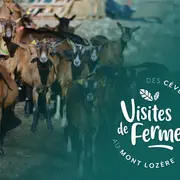 Visites De Fermes 2026 : La Ferme De Cocagne