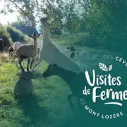 Visites De Fermes 2026 : La Ferme De Folie