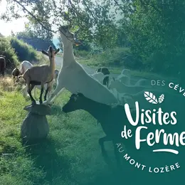 Visites De Fermes 2026 : La Ferme De Folie