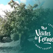 Visites De Fermes 2026 : Les Chataigneraies De Matthias