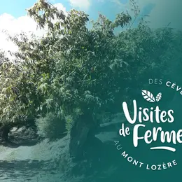 Visites De Fermes 2026 : Les Chataigneraies De Matthias
