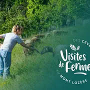 Visites De Fermes 2026: Les Saveurs Du Castanet
