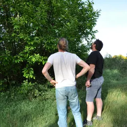 Visites et ateliers au coeur de la forêt comestible Arboraison