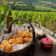 Visites & dégustation de vins au Domaine Debreuille (71)