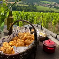 Visites & dégustation de vins au Domaine Debreuille (71)