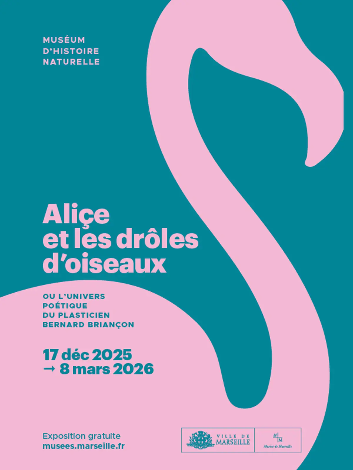 Visites flash animée Aliçe et les drôles d'oiseaux