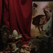 Visites flash animée Aliçe et les drôles d'oiseaux