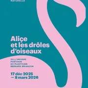 Visites flash animée Aliçe et les drôles d'oiseaux (vacances d'hiver)