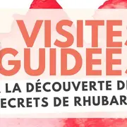 Visites guidées - à la découverte de nos secrets de rhubarbe