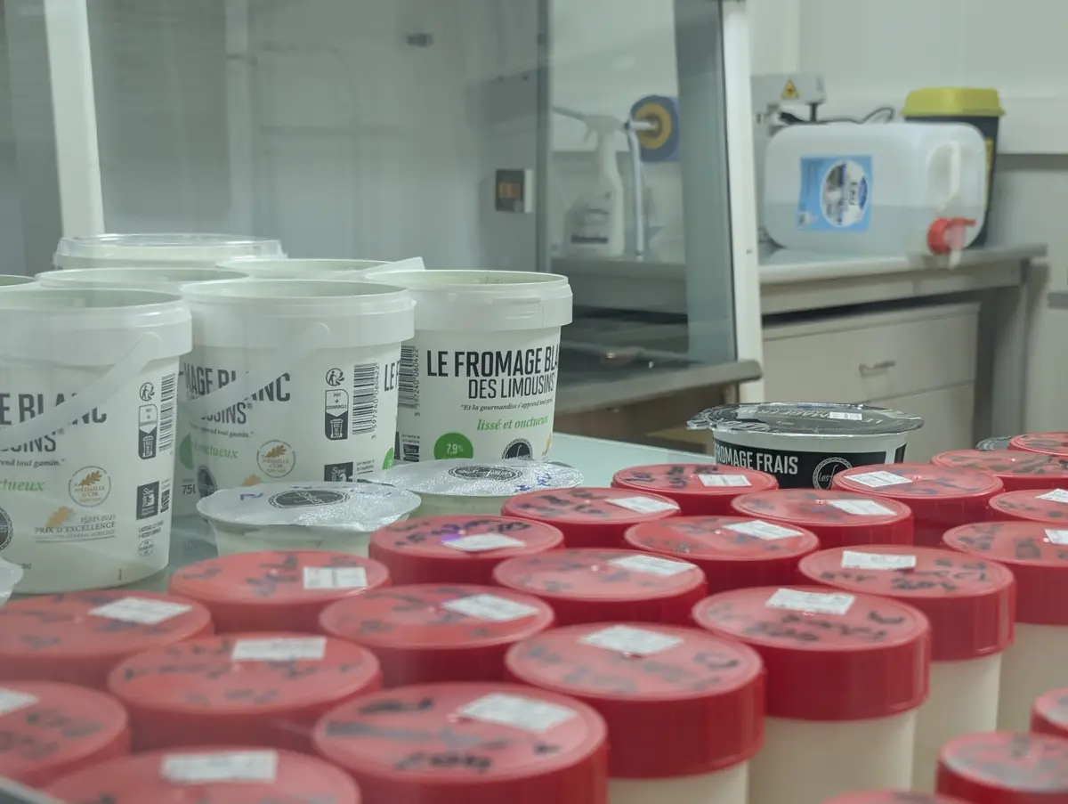 Visites guidées à la Laiterie des Fayes