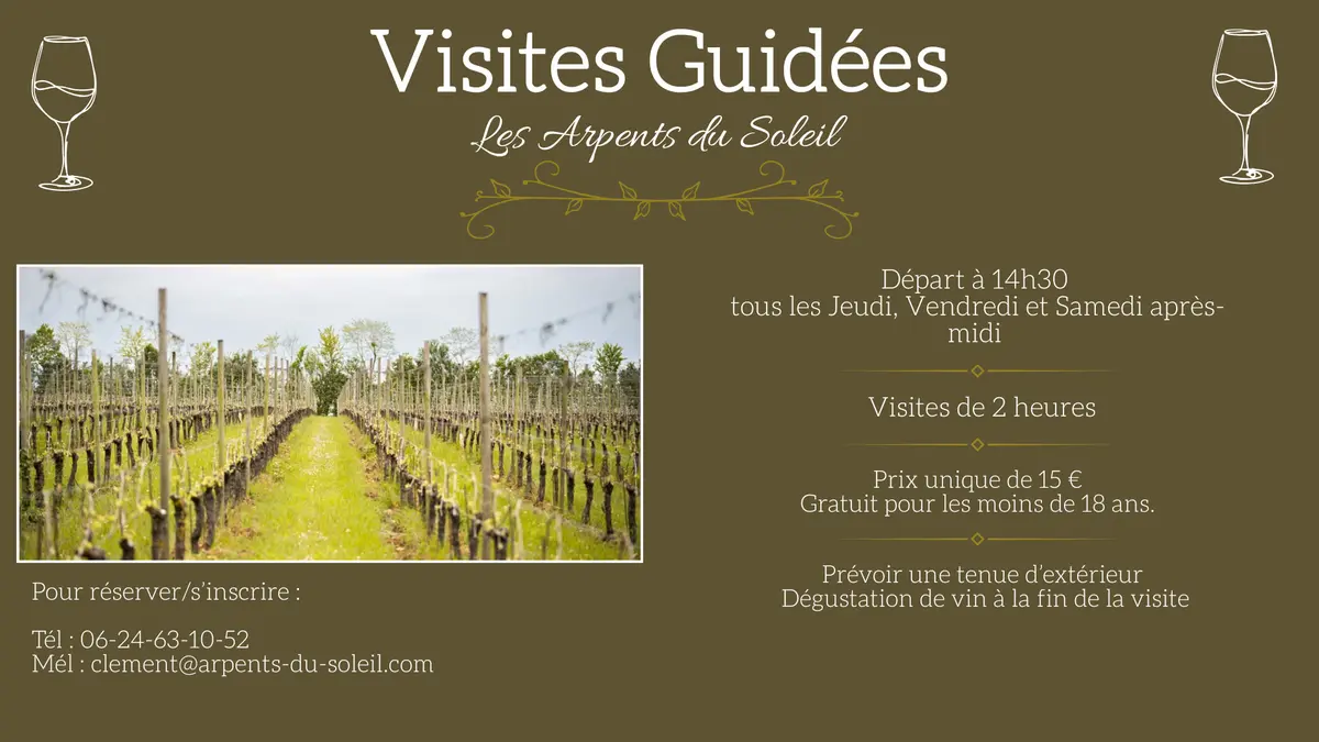 Visites guidées du vignoble Les Arpents du Soleil
