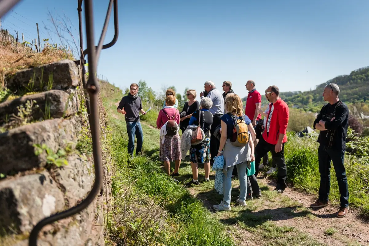 Visites guidées gratuites dans la région de Guebwiller