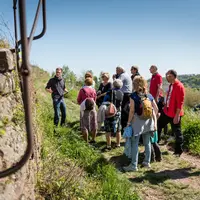 Visites guidées gratuites dans la région de Guebwiller DR