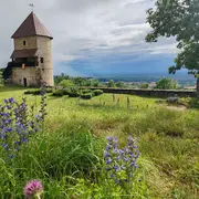 Visites guidées  - portes ouvertes au Château de Chevreaux