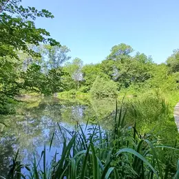 Visites guidés des Tourbières