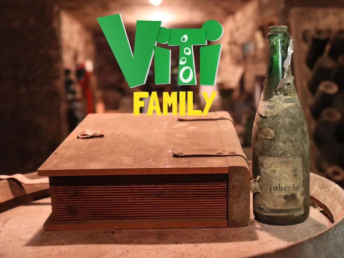 Viti Family- Escape Game Le Secret De Mes Pépés