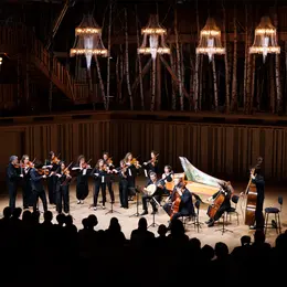Vivaldi Reloaded