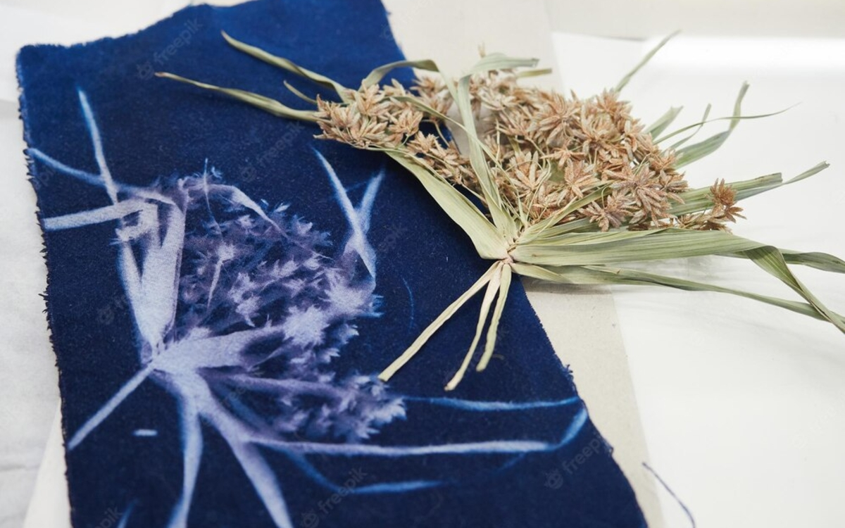 Planche de cyanotype pour l'expo familiale Vivant.e