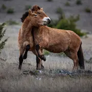 Vivant Parmi Les Vivants