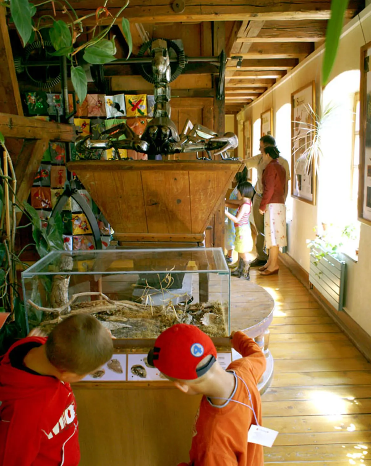 Le Vivarimu du moulin à Lautenbach Zell en Alsace est peuplé d'insectes extraordianires