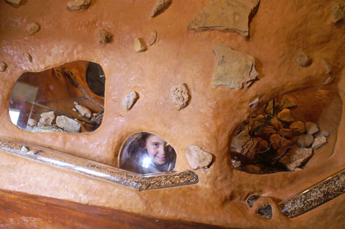 Les locataires du Vivarium du Moulin - Saison 2009