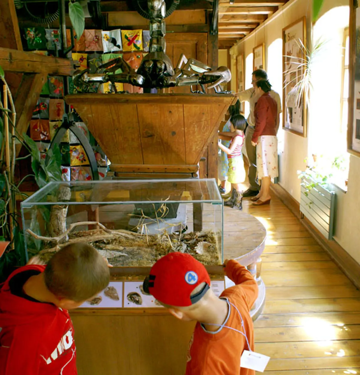 Exploration dans le monde méconnu des insectes au Vivarium du Moulin en Alsace